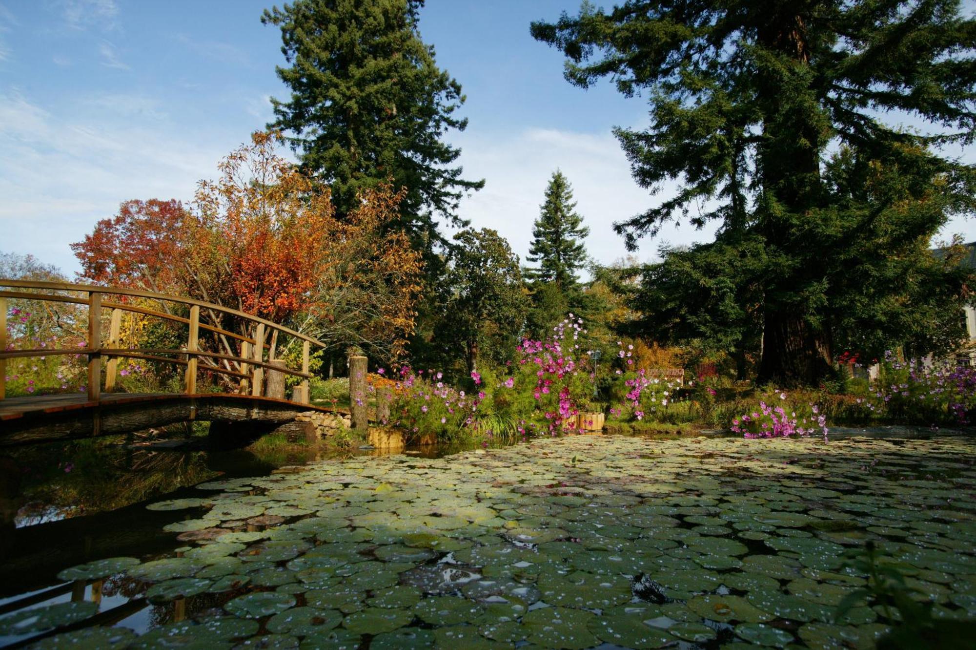 Hotel Le Manoir De Bellerive Le Buisson-de-Cadouin Zewnętrze zdjęcie